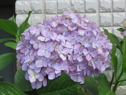 20190604B.jpg