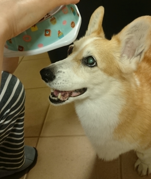 20190604D.jpg
