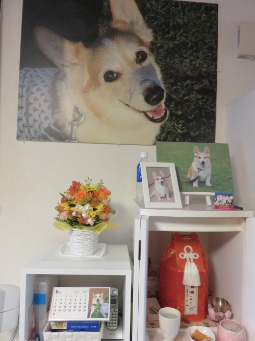 20190604F.jpg